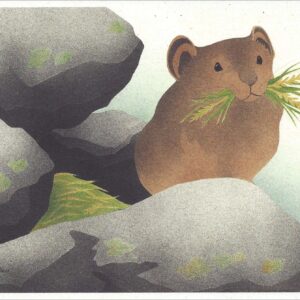 NC276 Pika Notecards