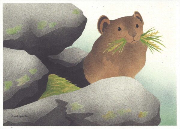 NC276 Pika Notecards
