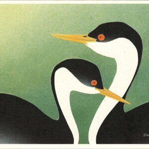 NC277 Western Grebes Notecard