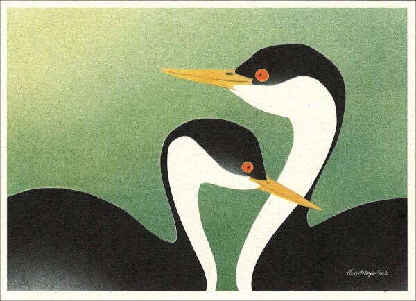 NC277 Western Grebes Notecard