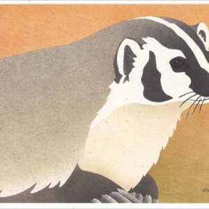 NC278 Badger Notecard