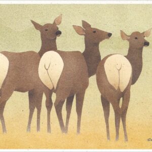 NC279 Elk Notecard