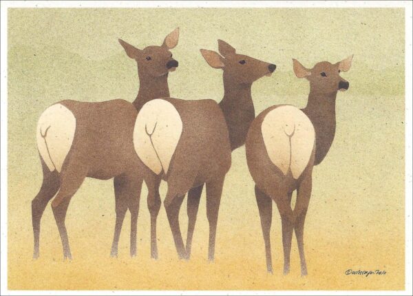NC279 Elk Notecard