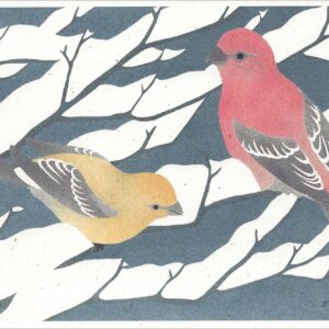 NC281 Pine Grosbeaks Notecard