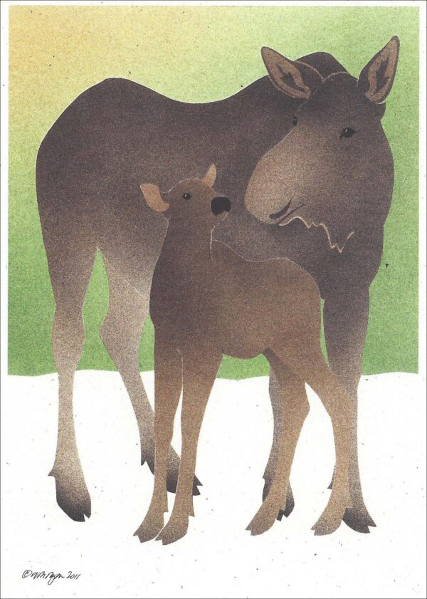 NC283 Moose Cow and Calf Notecard