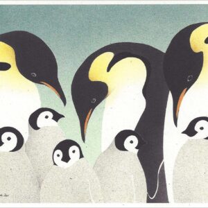 NC285 Emperor Penguins Notecard