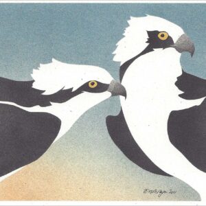 NC286 Osprey Notecard