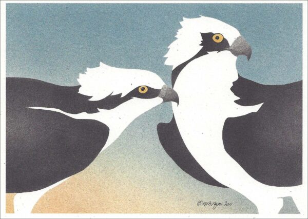 NC286 Osprey Notecard