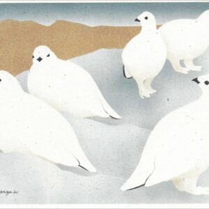 NC287 Willow Ptarmigan Notecard
