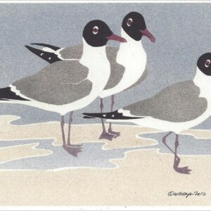 NC289 Laughing Gulls Notecard