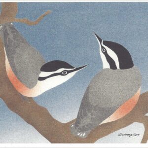 NC291 Red-Breasted Nuthatches Notecard