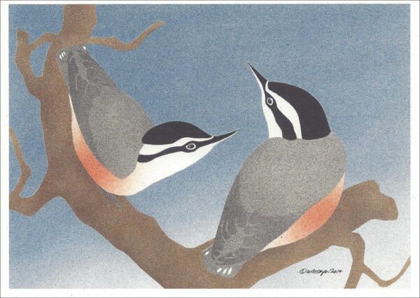 NC291 Red-Breasted Nuthatches Notecard