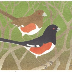 NC294 Eastern Towhees Notecard