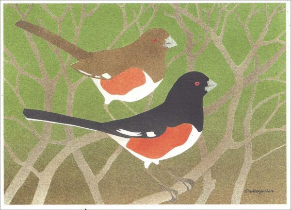 NC294 Eastern Towhees Notecard