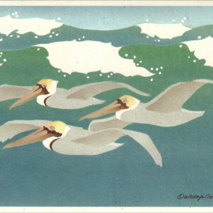 NC296 Brown Pelican Notecard