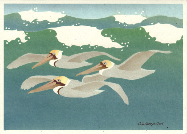 NC296 Brown Pelican Notecard
