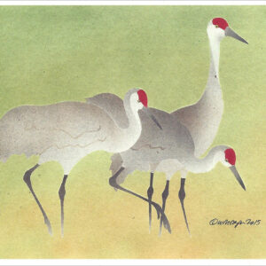NC297 Sandhill Cranes Notecard