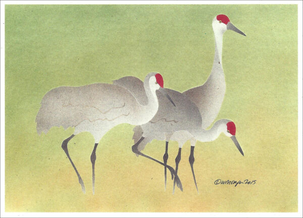 NC297 Sandhill Cranes Notecard