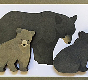 QM149 Black Bears Magnet