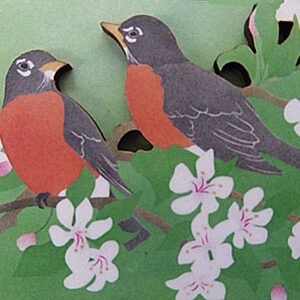 QM256 Robin Pair Magnet