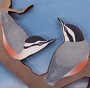 QM291 White-breasted Nuthatches Magnet