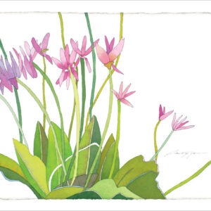 TN474 Pink Blossoms, Green Leaves Notecard