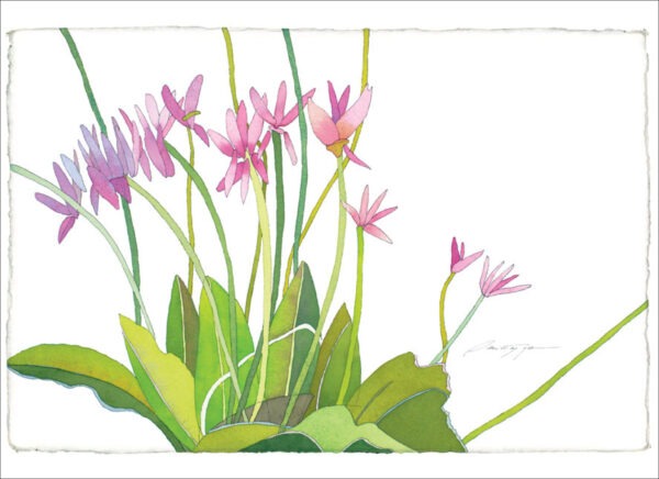 TN474 Pink Blossoms, Green Leaves Notecard