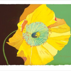TN476 Yellow Poppy, Black & Green Notecard