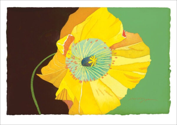TN476 Yellow Poppy, Black & Green Notecard
