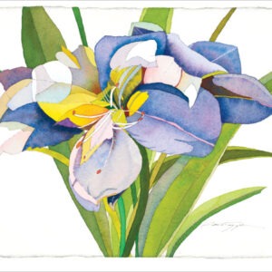 TN479 Purple Flowers Notecard