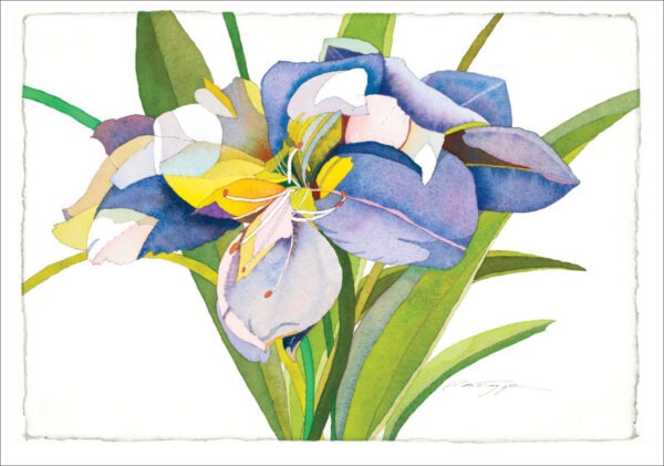 TN479 Purple Flowers Notecard
