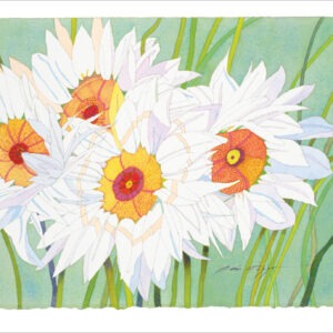 TN481 White Daisies Notecard