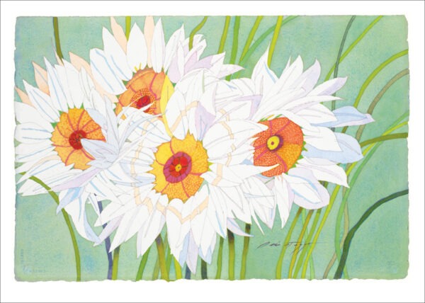 TN481 White Daisies Notecard