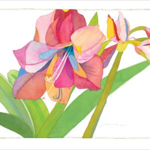 TN482 Pink Amaryllis Notecard
