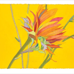 TN483 Thistle Notecard