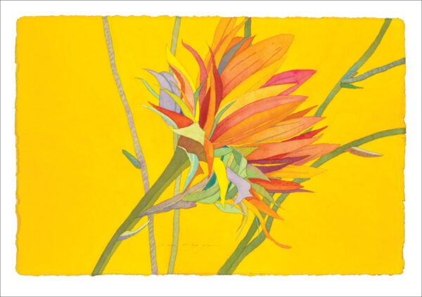 TN483 Thistle Notecard