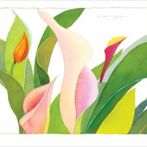 TN485 Pink Calla Lilies Notecard