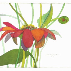 TN489 Zinnia & Bud on White Notecard