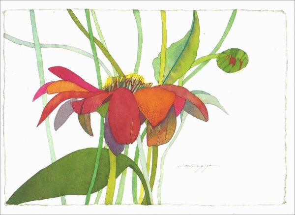 TN489 Zinnia & Bud on White Notecard