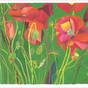 TN490 Red Poppies & Buds Notecard