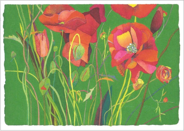 TN490 Red Poppies & Buds Notecard