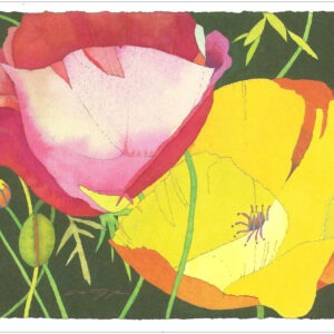 TN491 Two Poppies Notecard