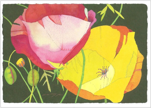 TN491 Two Poppies Notecard