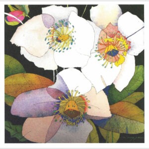 TN494 Hellebore w/Pink Bud Notecard