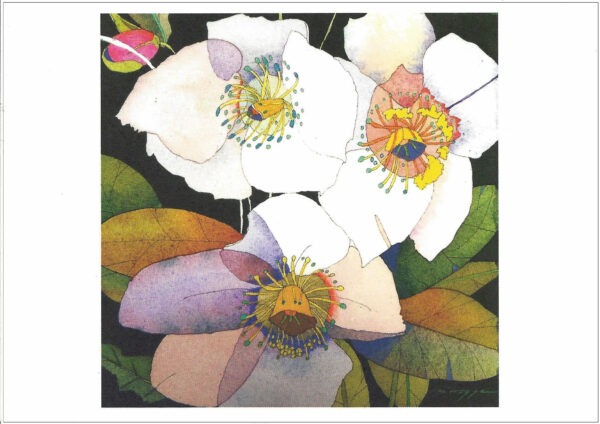 TN494 Hellebore w/Pink Bud Notecard