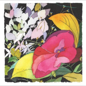 TN496 Pink Impatiens w/Pale Petals Notecard