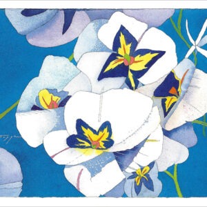 TN498 White Blossoms on Blue Notecard