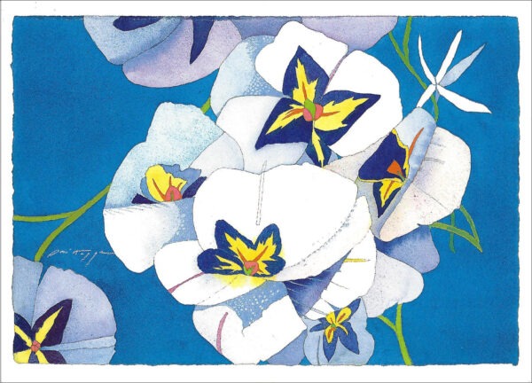 TN498 White Blossoms on Blue Notecard