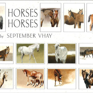VBH12 Horses Assortment Box