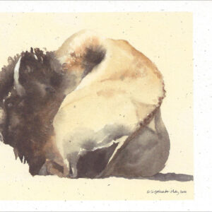 VN907 New Moon Bison Notecard